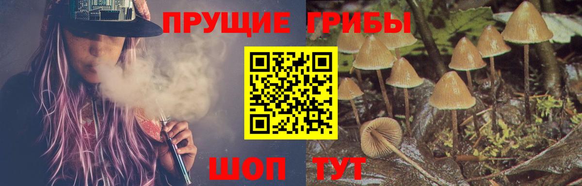 Псилоцибиновые грибы Magic Shrooms Чусовой